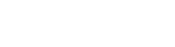 Radiant Logic 